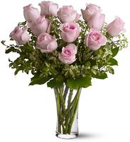 A Dozen Pink Roses 