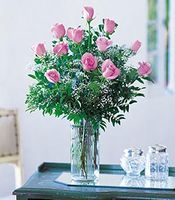 A Dozen Pink Roses Long Stems