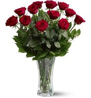 A Dozen Premium Red Roses