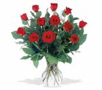 A Dozen Premium Red Roses