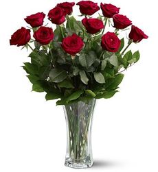 A Dozen Premium Red Roses