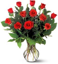 A Dozen Premium Red Roses