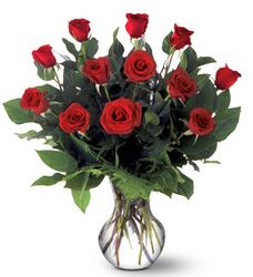 A Dozen Premium Red Roses