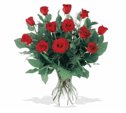 A Dozen Premium Red Roses