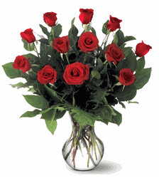 A Dozen Premium Red Roses
