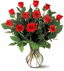 A Dozen Premium Red Roses