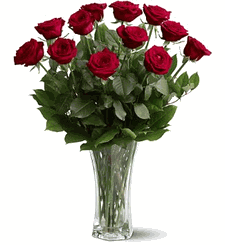 A Dozen Premium Red Roses