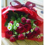 A Dozen Red Rose