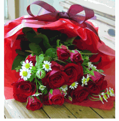 A Dozen Red Rose