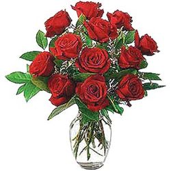 A dozen red rose in vase