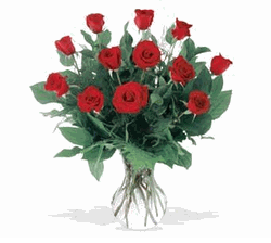 A Dozen Red Roses