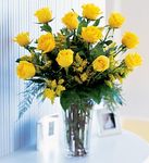 A dozen Yellow roses