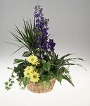 A garden planter for a baby boy.
