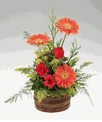 A handled basket of mixed flowers birthday