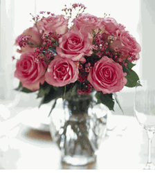 A Pretty Pink Dozen