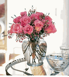 A Pretty Pink Dozen