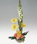 A stylized design in harvest colors