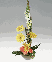 A stylized design in harvest colors