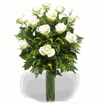   A White Rose