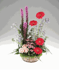 A vegetative garden basket arrangement of flowers