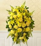 All-Yellow Sympathy Standing 