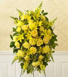All-Yellow Sympathy Standing 
