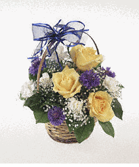 An arrangement for a baby boy in a basket.