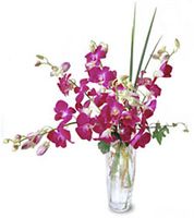 An ocean of purple orchids in a glass vase