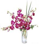 An ocean of purple orchids in a glass vase