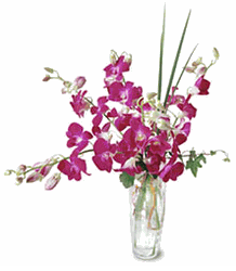 An ocean of purple orchids in a glass vase