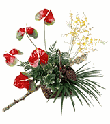 Anthurium Array Arrangement
