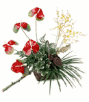 Anthurium Array Arrangement