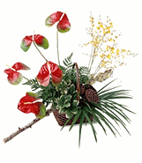 Anthurium Array Arrangement