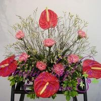 Anthurium bouquet