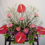 Anthurium bouquet