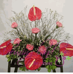 Anthurium bouquet