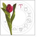 Aries: March 21 - april 20