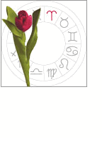 Aries: March 21 - april 20