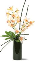 Artful Orchids