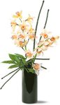 Artful Orchids