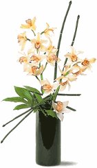 Artful Orchids