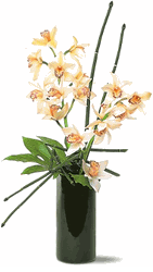 Artful Orchids