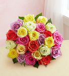 Assorted Roses flower 8-3