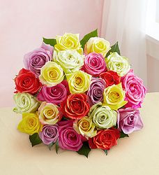 Assorted Roses flower 8-3