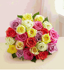 Assorted Roses flower 8-3