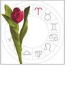astrology floral guide