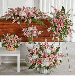 Hoa tang L�̃ - Hoa Pink