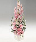 Baby arrangement for a baby girl.