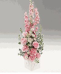 Baby arrangement for a baby girl.