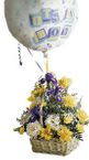 Baby Boyl Bouquet w/ OUT balloons